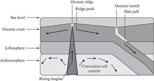 ACT Science Practice Test 2_ACTexam.net