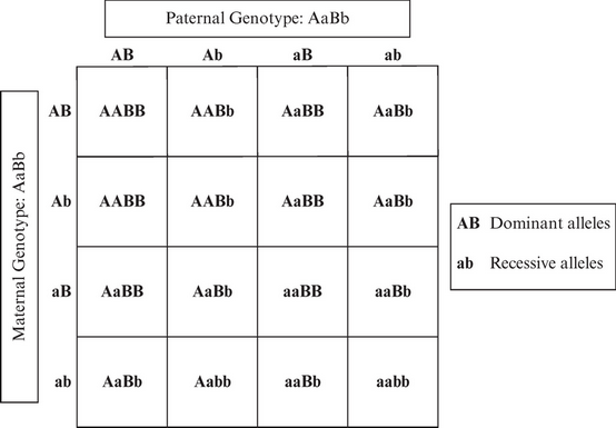 ACT Science Practice Test 4_ACTexam.net