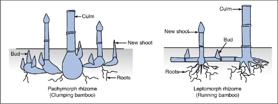 ACT Science Question 275: Answer and Explanation_ACTexam.net